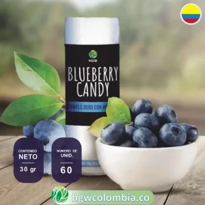 caramelos-de-arandano-blueberry-candy1co