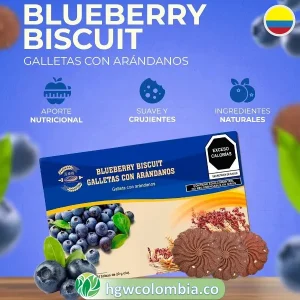 galletas-de-arandanos-blueberry-biscuit1co